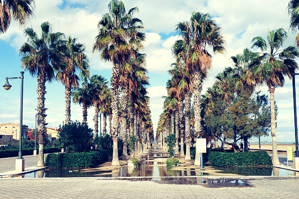 Spain Valencia palm trees 600 x 400